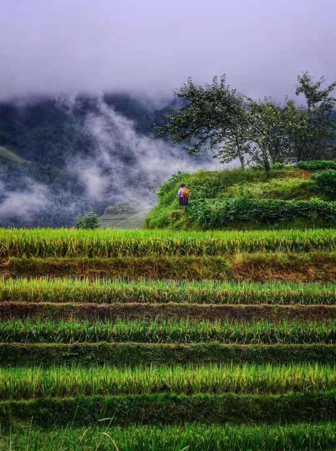 Longji Terrace La Vie Inn Longsheng Exteriör bild