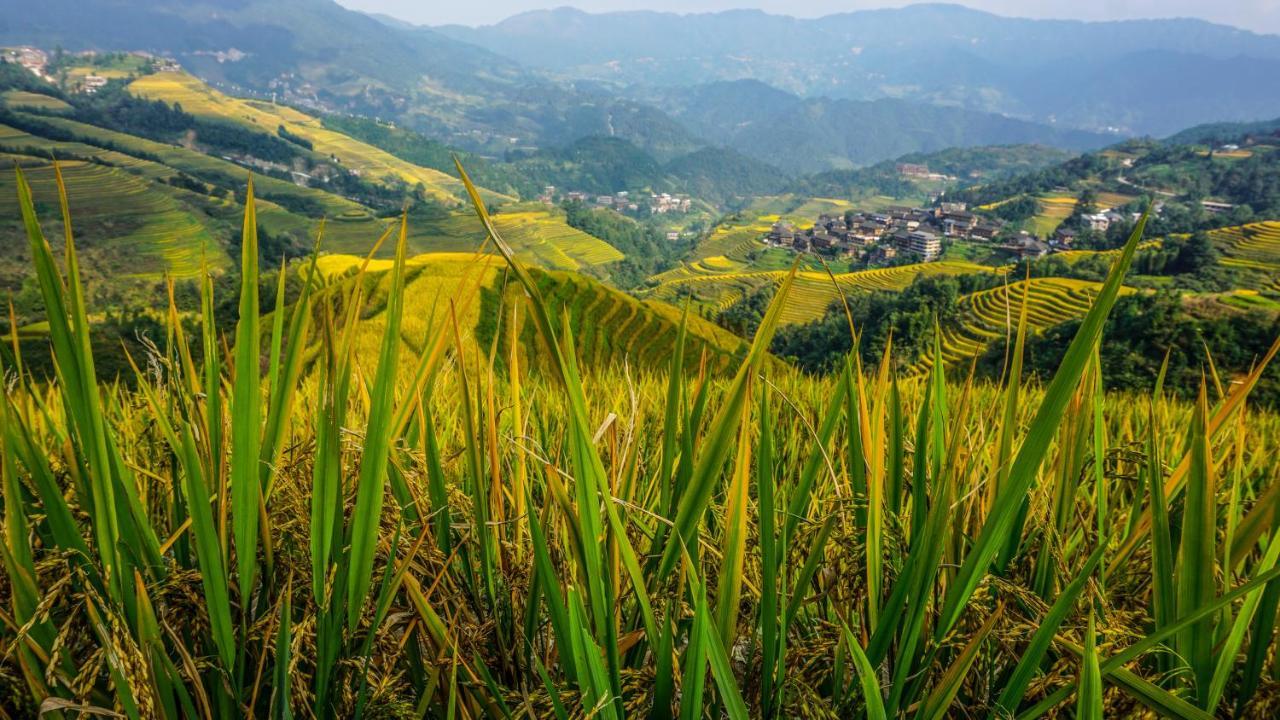 Longji Terrace La Vie Inn Longsheng Exteriör bild